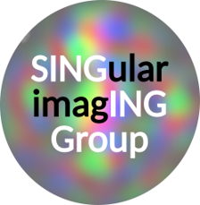 Singular Imaging Group