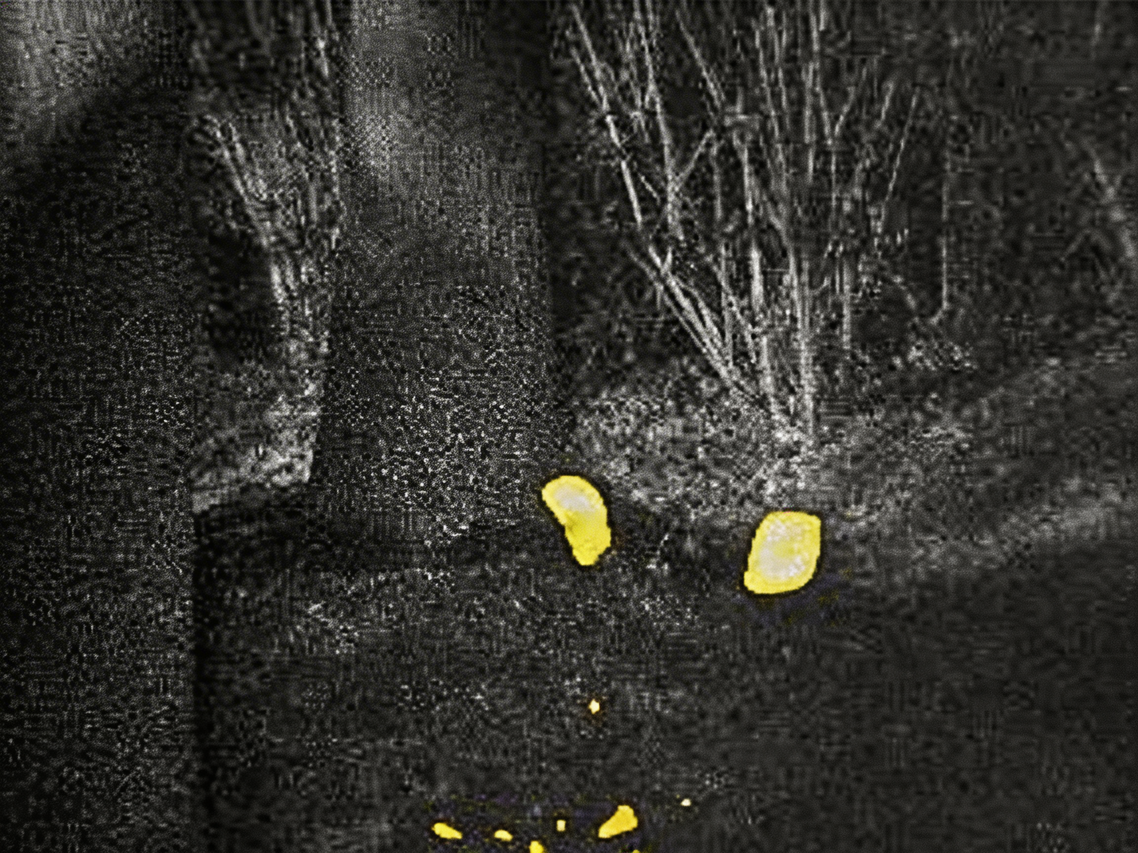 20m Thresholding on S3